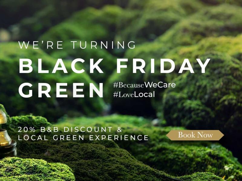 GREEN FRIDAY OFFERS