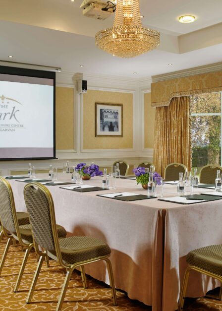 Elegant hotel conference room with a chandelier, projector, and garden view.