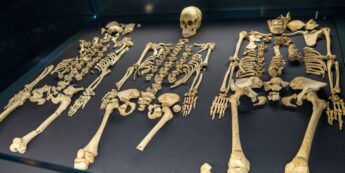 Kilkenny Medieval Mile Museum