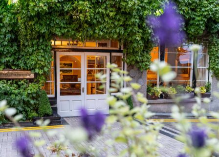 Inviting hotel entrance with lush greenery and warm lighting.