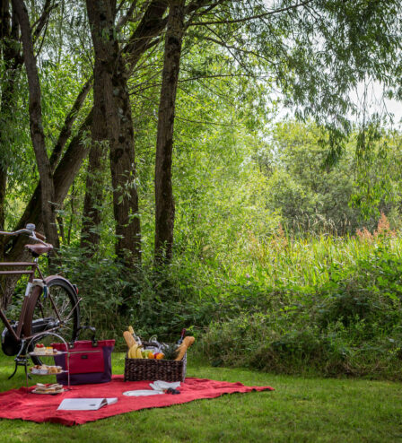 A cheerful picnic setup with a bicycle in a lush, green park setting.
